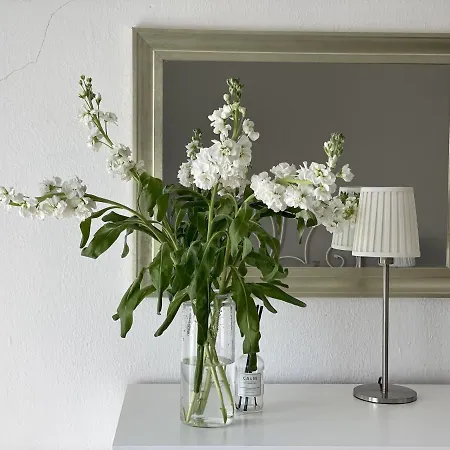 Holiday home Holiday Casa Granaas Mijas